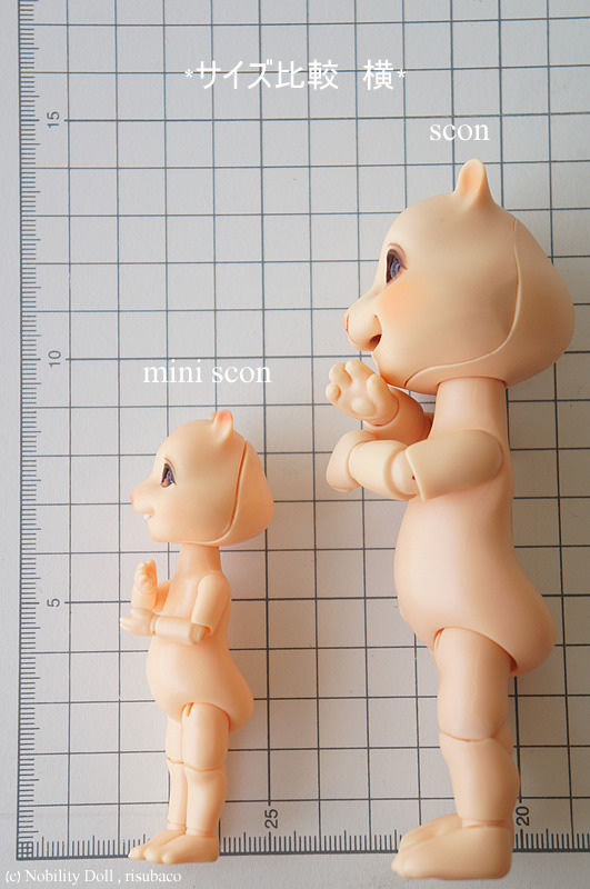 risubaco New Item＊Nobility Doll “mini scon” サイズ比較 | risubaco
